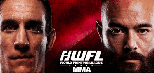 Video interviews: Anthony Engelen en Duane van Helvoirt