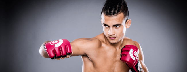 Ongeslagen Adam Borics treft Josenaldo Silva tijdens Bellator 205 in Boise