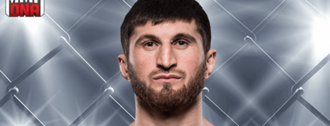 Magomed Ankalaev treft Darko Stosic tijdens UFC Praag