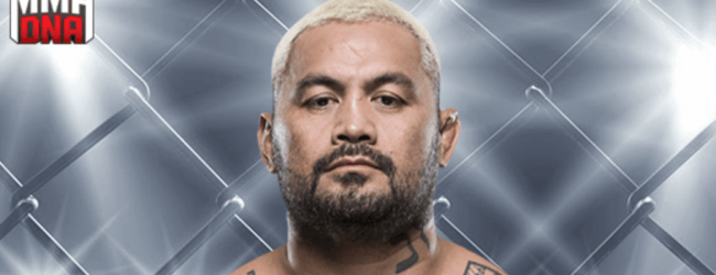 Mark Hunt maakt vertrek bij UFC officieel na verlies tegen Willis