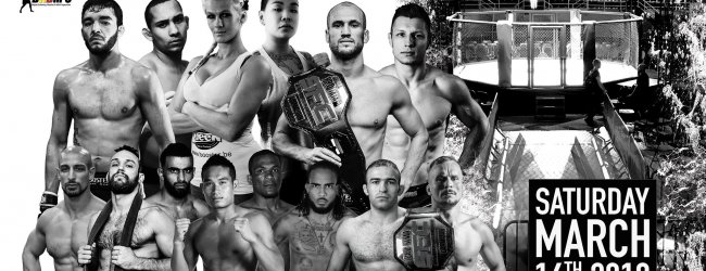 Uitslagen : Staredown FC XIV : Dandois vs. Pike