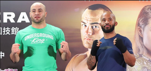 Winst voor Demetrious Johnson, verlies voor Eddie Alvarez in Japan