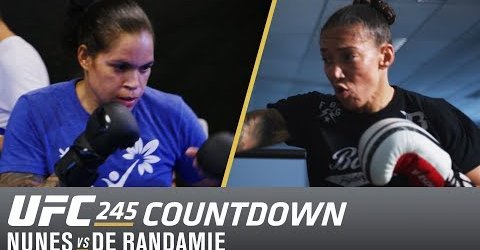 UFC 245 Countdown