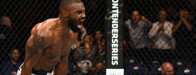 Twee nieuwe partijen toegevoegd aan UFC Londen evenement