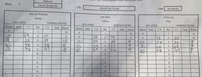 Meningen verdeeld over uitslag Jones vs. Reyes